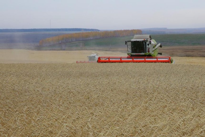 Заканчивается уборка урожая зерновых и зернобобовых культур в Иркутской области