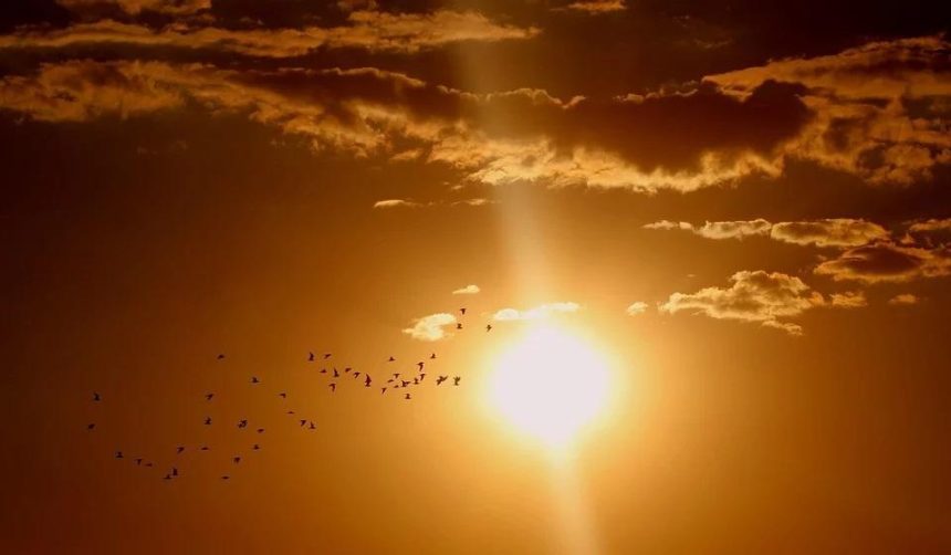 Иркутские ученые - о новом цикле солнечной активности и о том, завершилась ли «солнечная зима»