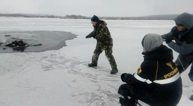 Трое ангарчан спасли мужчину, провалившегося под лед залива Кривая