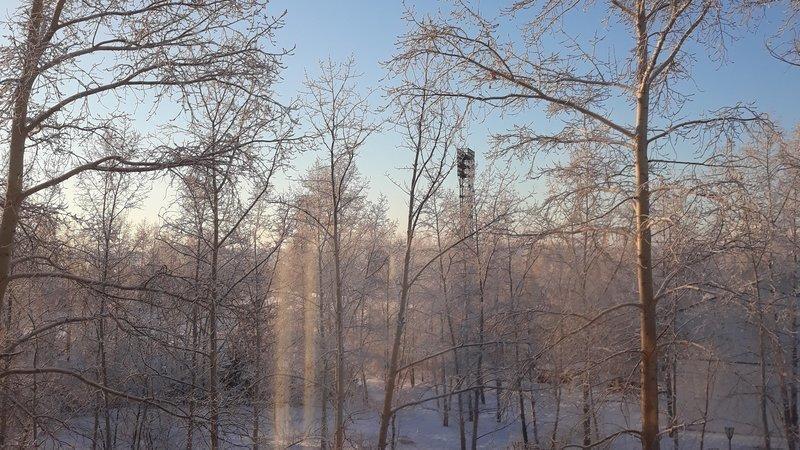 Братчане продолжают отстаивать "Северный Артек", на их стороне часть депутатов городской думы