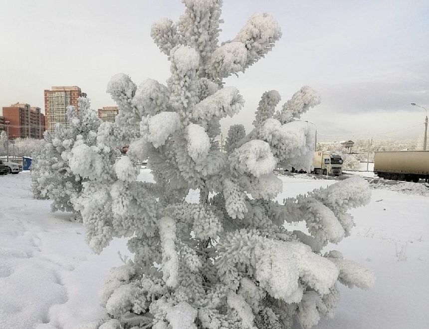 Морозная погода ожидается в Иркутской области на выходные 28-29 декабря