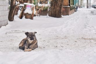 Никогда не было, и вот опять! Иркутск замело снегом