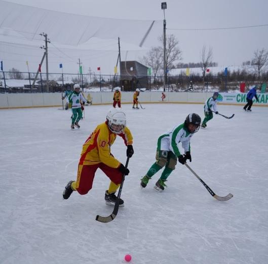 Отделение спортивной школы по хоккею с мячом «Сибскана» открылось в Аларском районе
