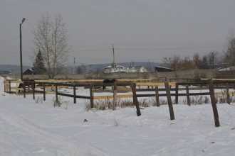 Росимущество приостановило продажу иркутского ипподрома