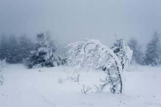 В западных и северных районах Иркутской области ожидается усиление ветра