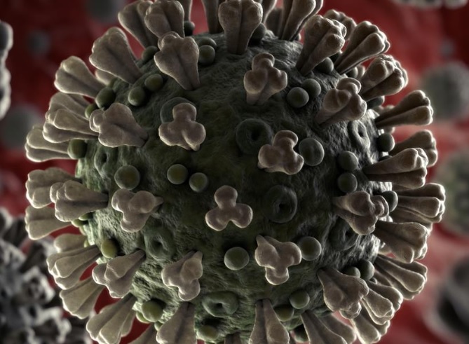Число зараженных коронавирусом в мире превысило 60 тысяч
