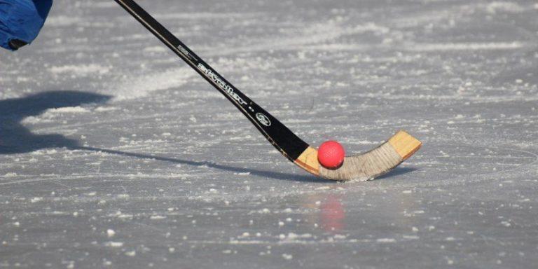 Календарь игр группы А на ЧМ по хоккею с мячом утвердили в Иркутской области