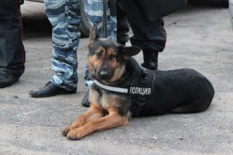 Пропавших в Ангарске детей нашли