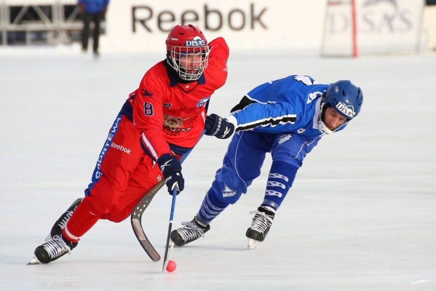 Сборная Китая не сможет принять участие в ЧМ по хоккею с мячом среди мужских команд в Иркутске