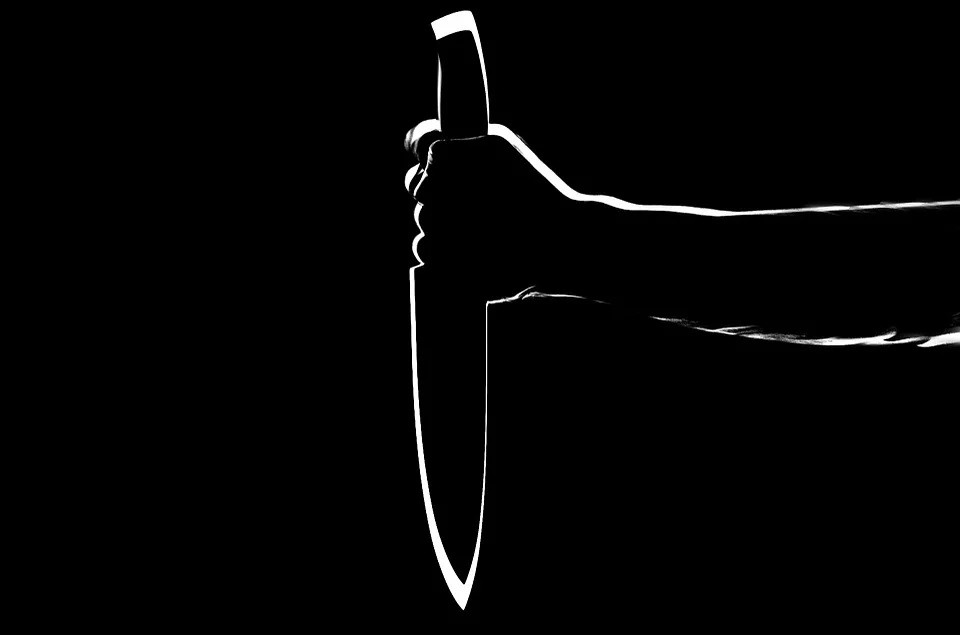 Жителя Нижнеудинского района арестовали по обвинению в убийстве двоих человек