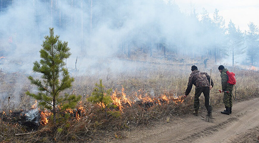 Отжиги сухой растительности начались на КБЖД
