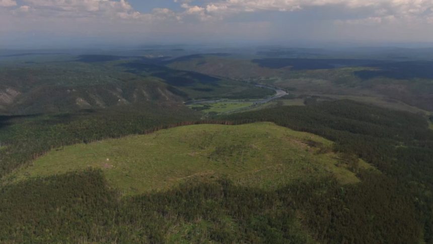 Суд потребовал от минлеса Иркутской области восстановить леса в заказниках Казачинско-Ленского района