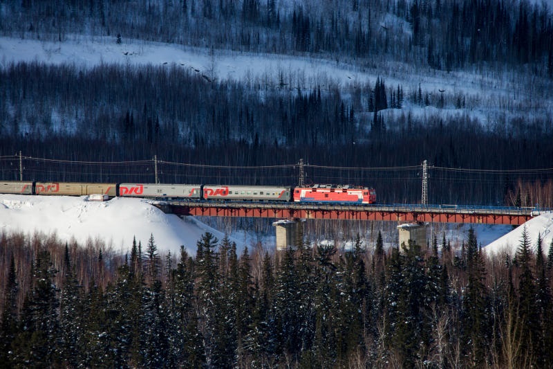 Железнодорожное сообщение России и Монголии приостановлено с 10 марта