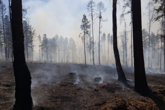 12 природных пожаров действовало в Иркутской области 21 апреля