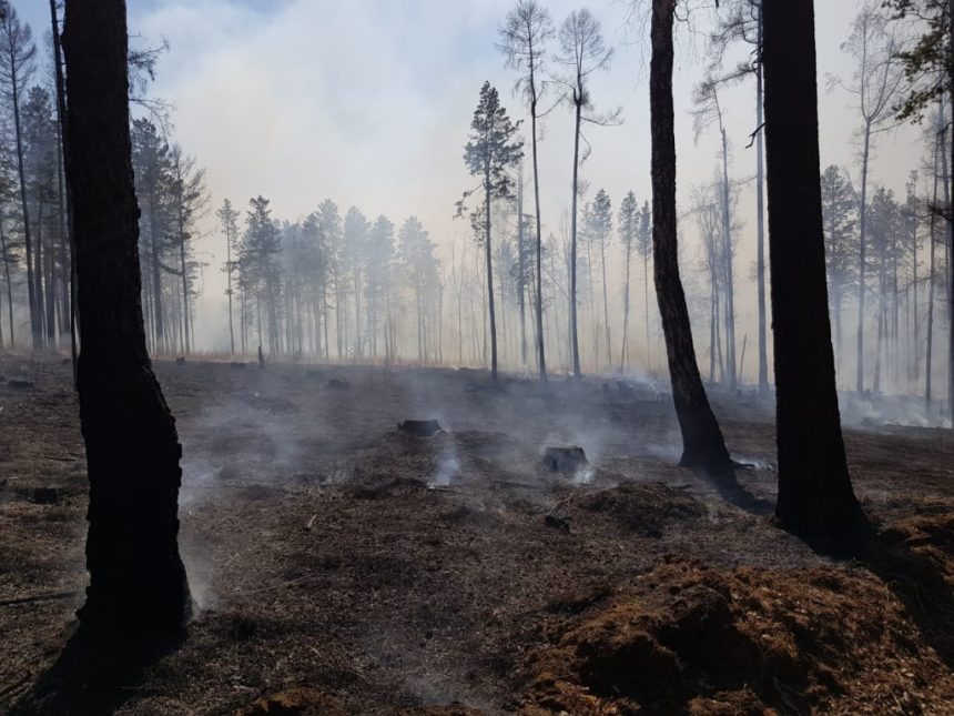 12 природных пожаров действовало в Иркутской области 21 апреля