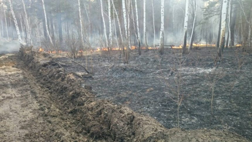 62 гектара леса горело в Иркутской области 15 апреля