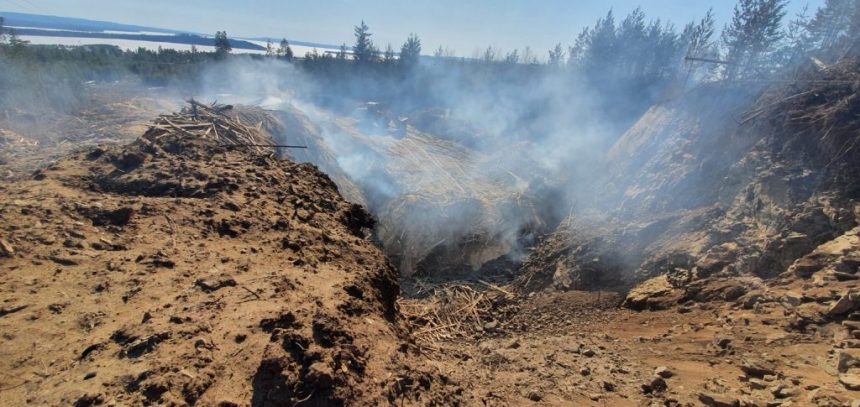 Два предприятия Железнодорожного МО создали угрозу лесному массиву, сжигая отходы лесопиления