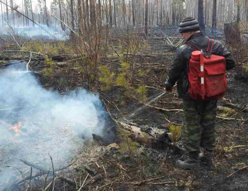 Ещё один лесной пожар ликвидирован в Иркутском районе