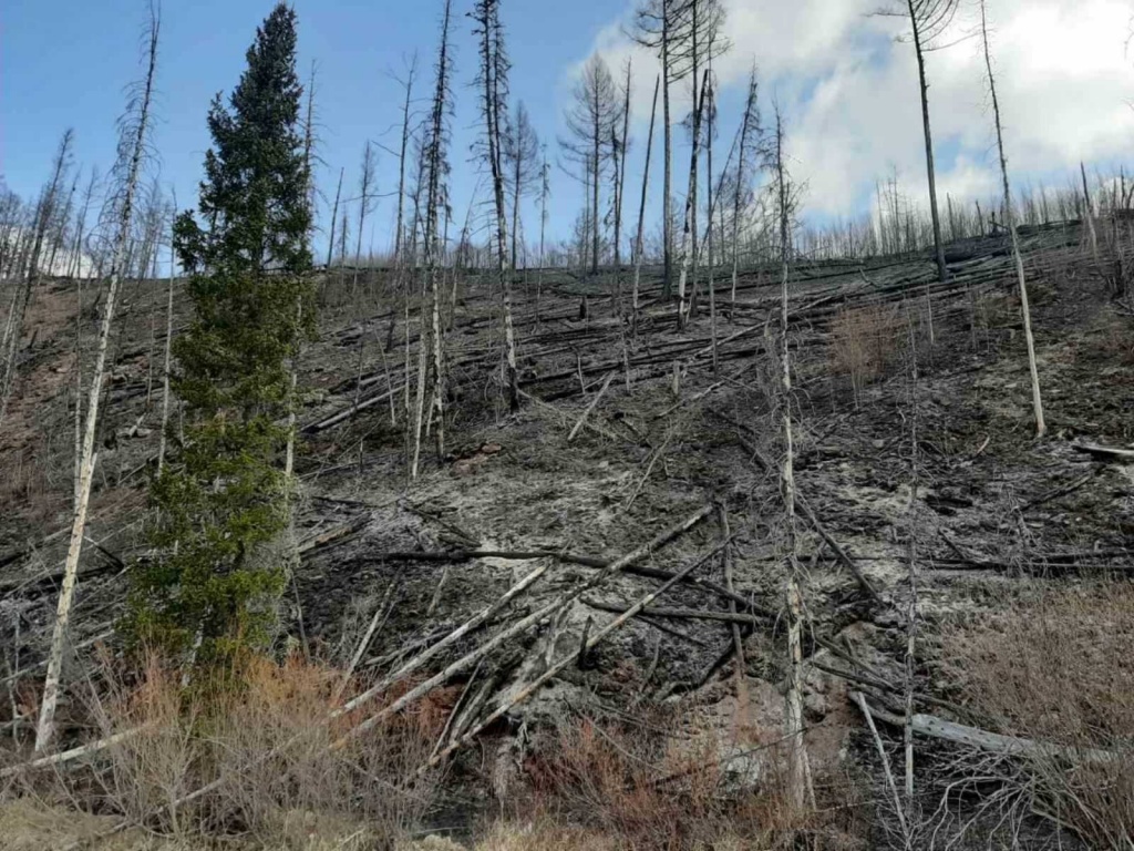 Кобзев распорядился потушить все пожары в Качугском районе до 30 апреля