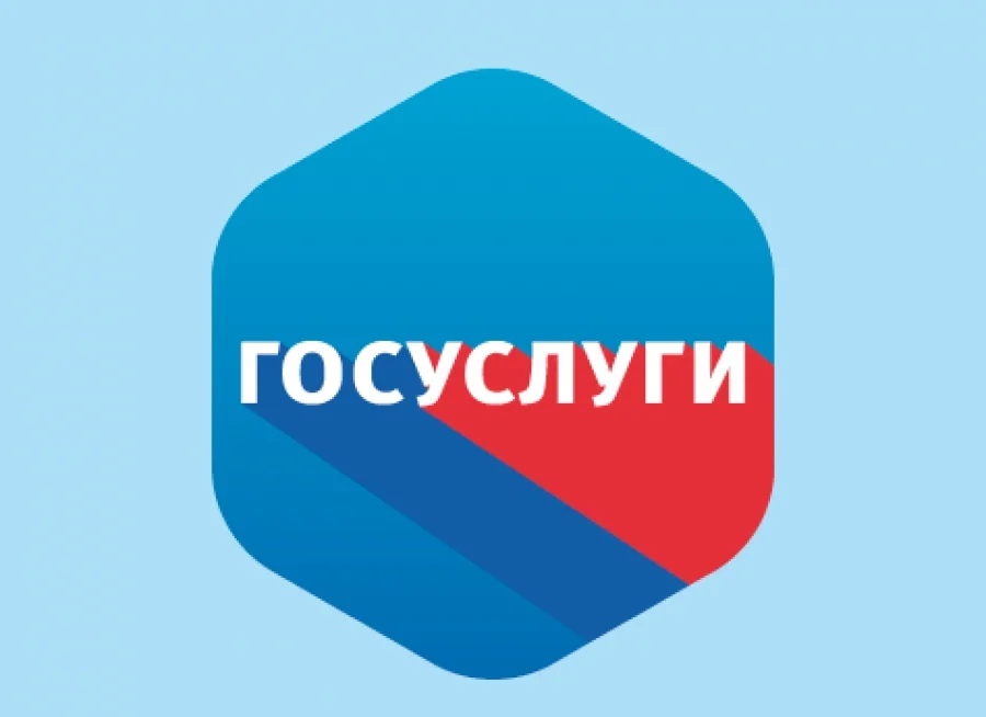МВД напоминает: госуслуги оказывают временно только по предварительной записи
