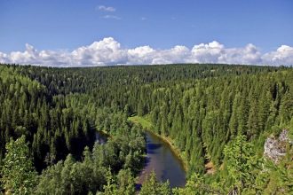 Незаконную рубку 73 тыс. га защитных лесов предотвратили в Усть-Илимске