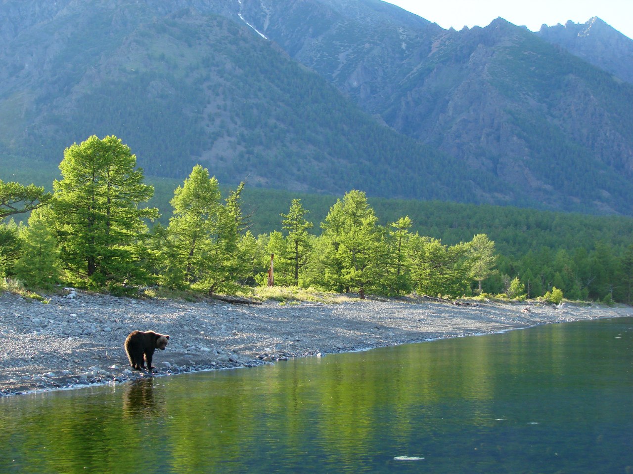 Особый противопожарный режим начал действовать на территории Прибайкальского нацпарка