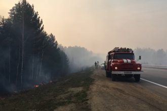 Первый лесной пожар в этом сезоне произошел в Иркутском районе