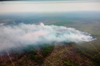 Пять природных пожаров действуют в Иркутской области на утро 23 апреля