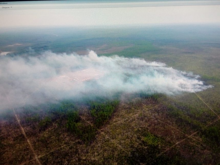 Пять природных пожаров действуют в Иркутской области на утро 23 апреля