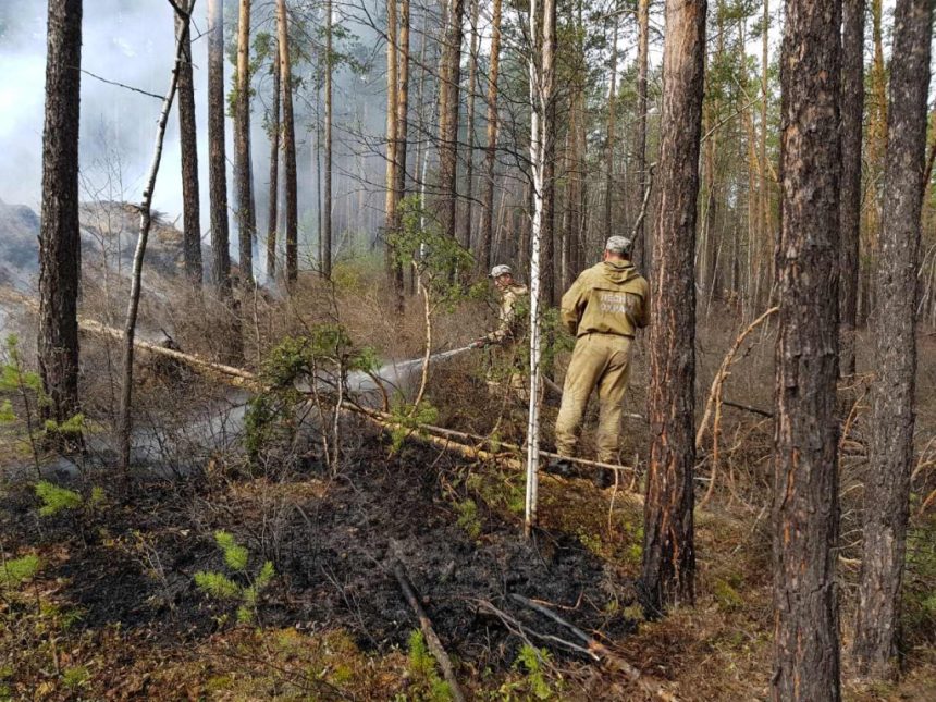 Шесть природных пожаров произошло в Иркутской области 19 апреля