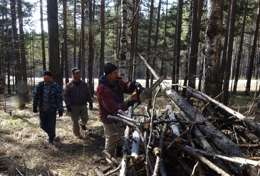 Уборка лесных участков от мусора началась вдоль Байкальского тракта