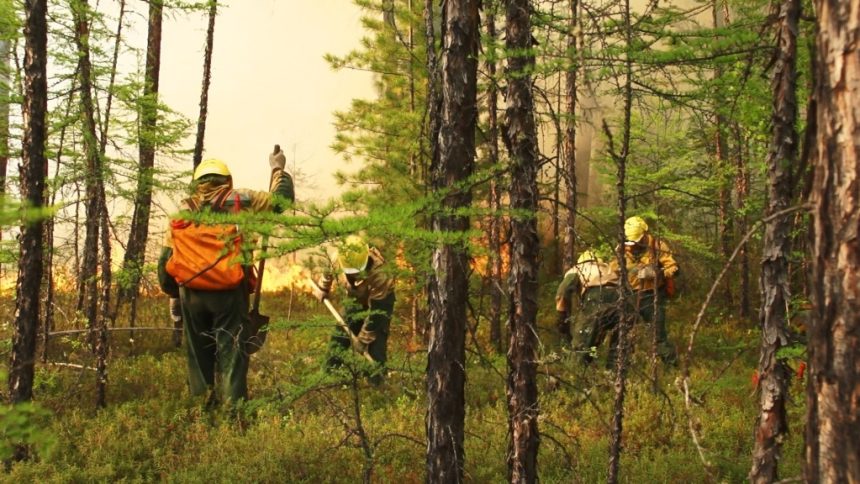 26 тысяч га леса сгорело в Приангарье - на 78 % меньше прошлогодних показателей