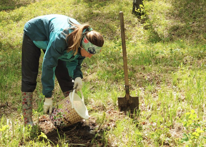 Акция «Посади дерево – подари планете жизнь» пройдет в Иркутске 23 мая