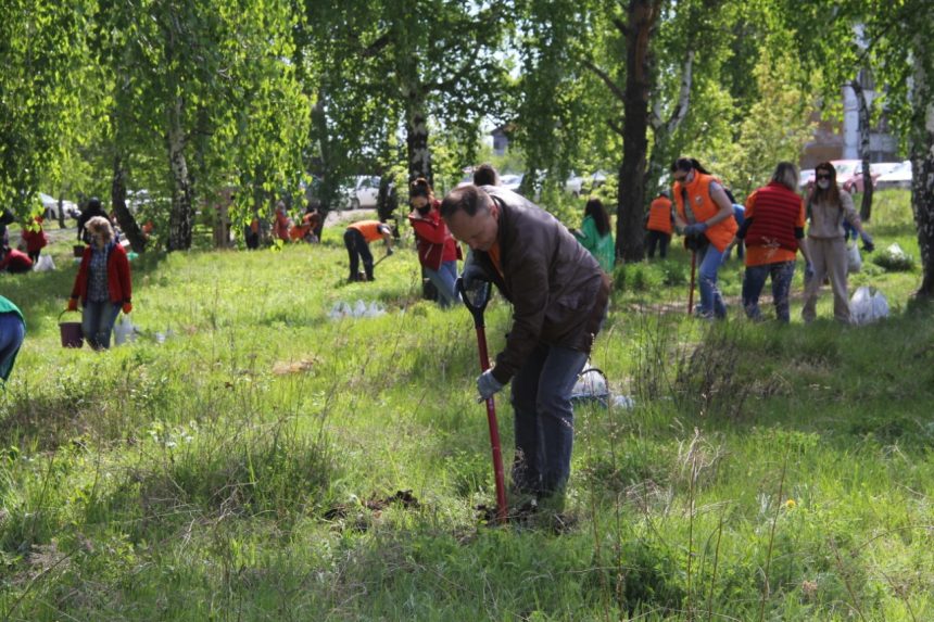 Более трех тысяч деревьев высадили в роще на Синюшиной горе в Иркутске