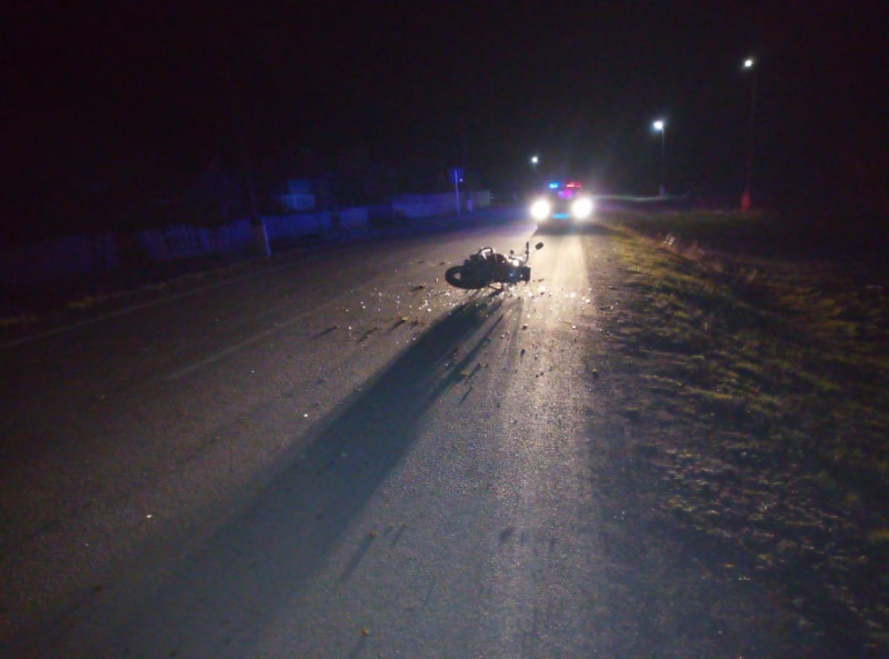 Нетрезвый мотоциклист наехал на лошадь в селе Шеберта Иркутской области