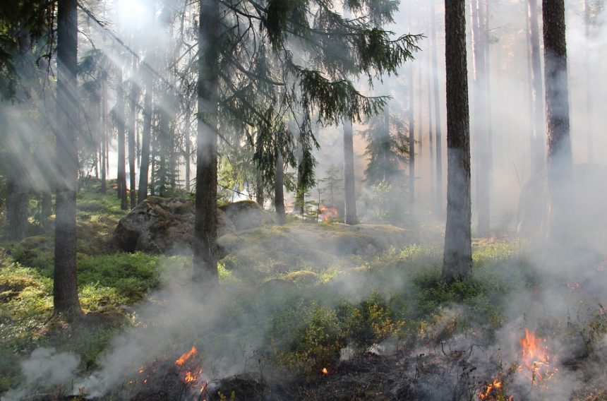 Один пожар зарегистрирован в Иркутской области на 4 мая