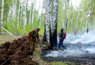 Пять лесных пожаров действует в Приангарье 27 мая