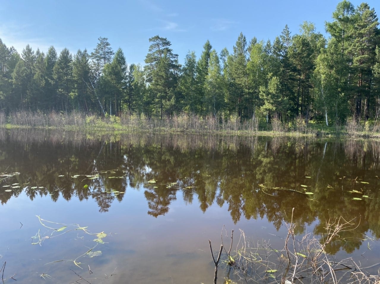 11-летний мальчик утонул в Черемховском районе