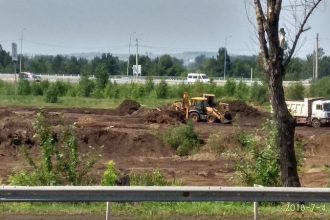 Иркутяне выступают против вырубки деревьев и постройки торгового центра на Сурнова