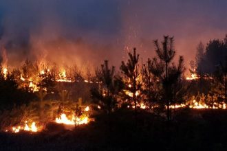 Лес горит на территории Прибайкальского нацпарка в Ольхонском районе