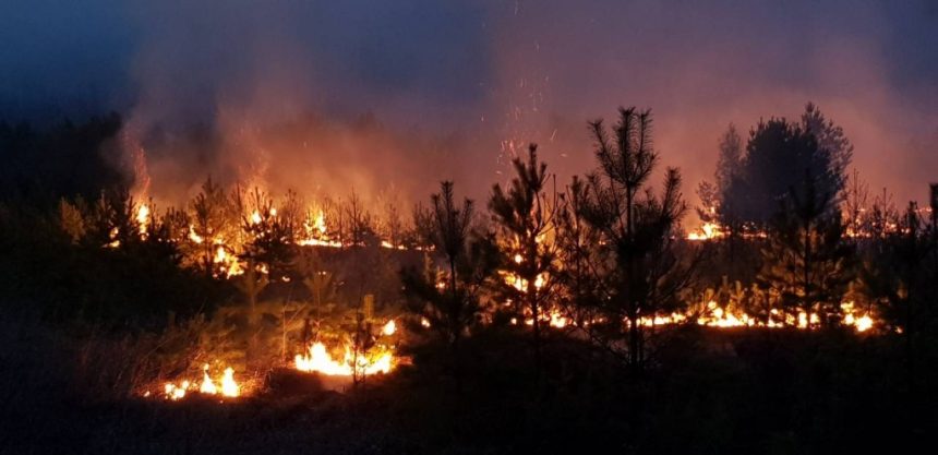 Лес горит на территории Прибайкальского нацпарка в Ольхонском районе