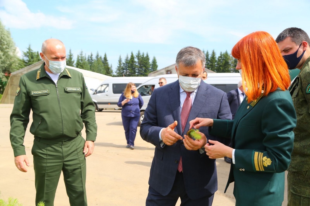 Сеянцы шелеховского лесопитомника планируют использовать для посадок на промплощадке БЦБК