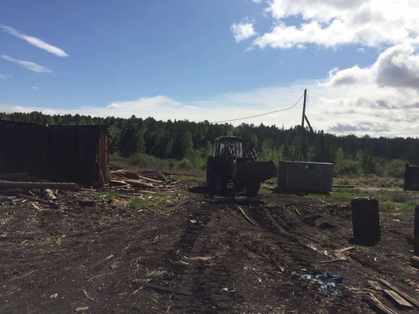 В Иркутской области незаконно вырубили деревья на 13 миллионов рублей