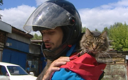 Кот-байкер появился на дорогах в Усолье-Сибирском