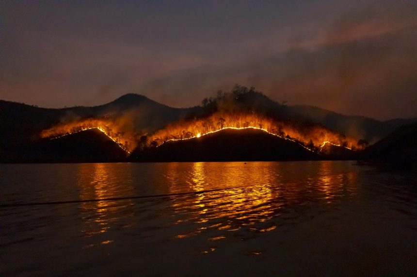 41 природный пожар действует в Иркутской области на утро 10 июля