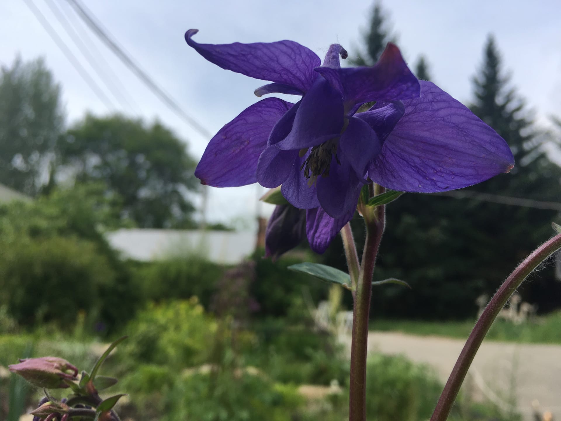 Ботанический сад Иркутска открылся после долгого перерыва из-за COVID