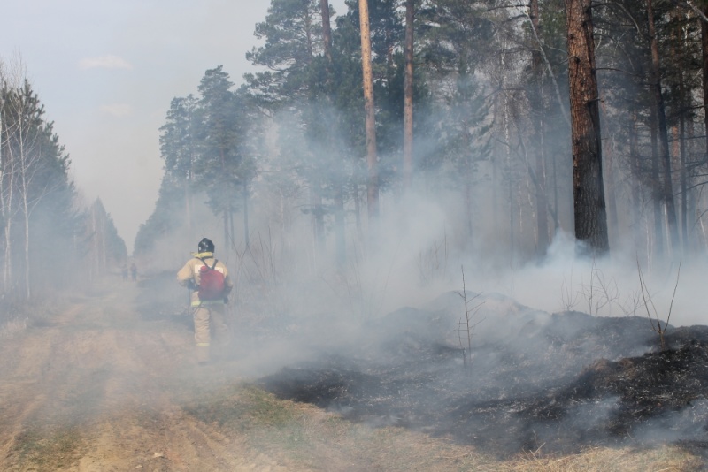 Дым от лесных пожаров накрыл пять районов Иркутской области