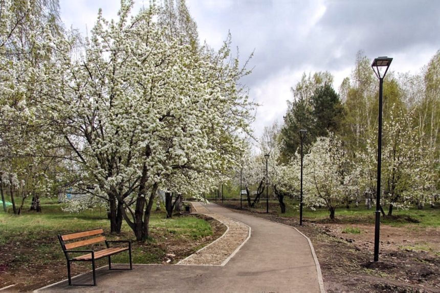 Иркутян приглашают принять участие в обсуждении развития парка в Солнечном
