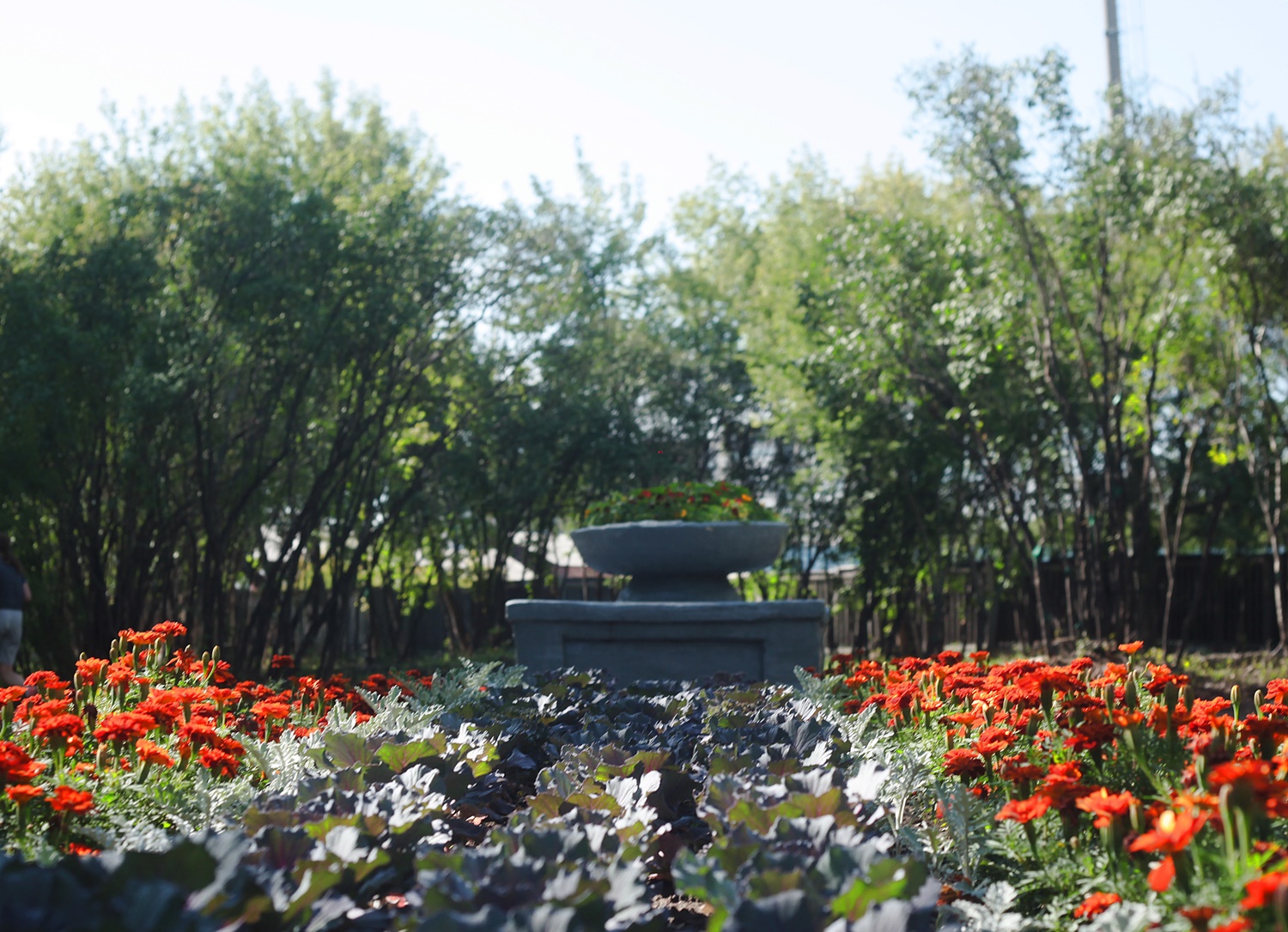 Парк Парижской коммуны в Иркутске в этом году благоустроят. А вот так он выглядит сейчас