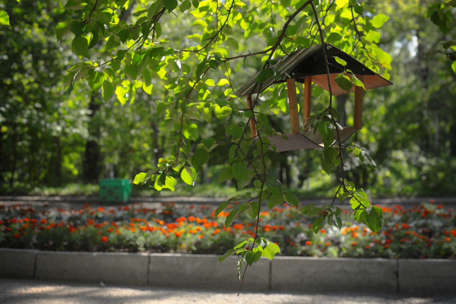 Парк Парижской коммуны в Иркутске в этом году благоустроят. А вот так он выглядит сейчас